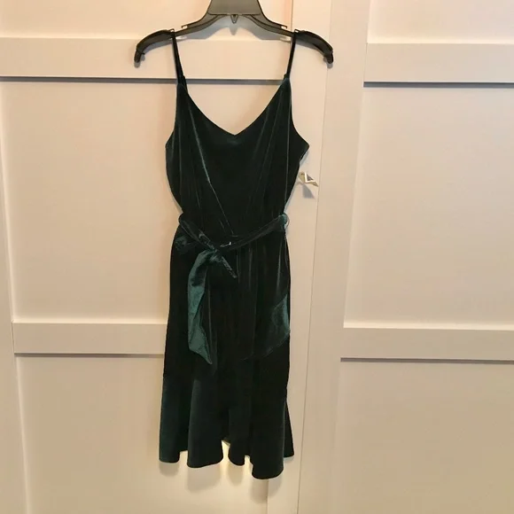 green emerald velvet dress Rachel Zoe Womens Green Karyn Sleeveless Knee Length Wear to Work Sheath  Dress 6 at Amazon Women's Clothing store main image 0